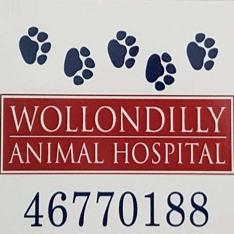 Photo: Wollondilly Animal Hospital